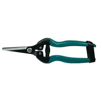 ŠKARE ZA BERBU I VOĆARSTVO 190mm RAVNE (504673)