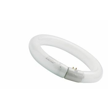 FLUO CIJEV L 22W/840 C G10Q OKRUGLA