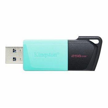 USB STICK KINGSTON 256GB