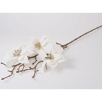 GRANA BOŽIĆNE ZVIJEZDE  64cm KREM