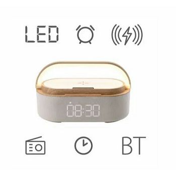 RADIO MANTA FM RDI920 VERONA