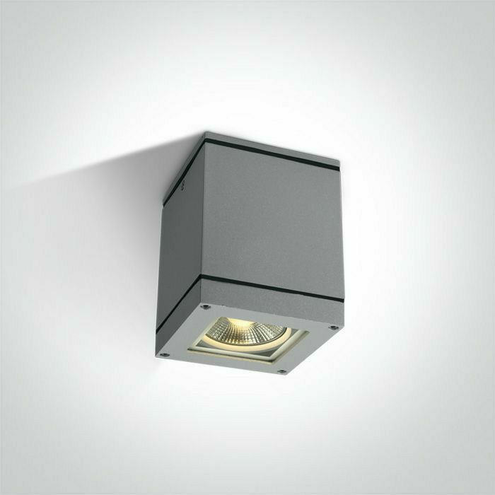 DM67132D/G NADGRADNA LAMPA IP54 SIVA