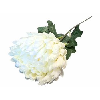 KRIZANTEMA 66CM KREM