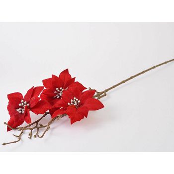 GRANA BOŽIĆNE ZVIJEZDE  64cm CRVENA