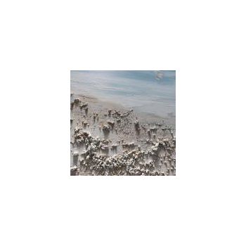 SLIKA DIPI Z648 60x120cm