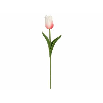 TULIPAN 33 CM ROZA/BIJELI