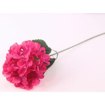 HORTENZIJA 58 CM  CIKLAMA