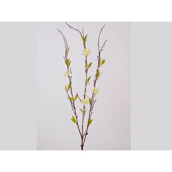 GRANA ZELENILA 67 cm